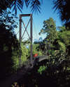 Four Seasons Tented Camp Golden Triangle 